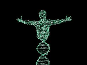 Du hast doch einfach gute Gene – Die Rolle der Genetik für deinen Traumkörpe